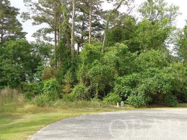 1275 Bear Foot Path #Lot 255, Corolla, NC 27927