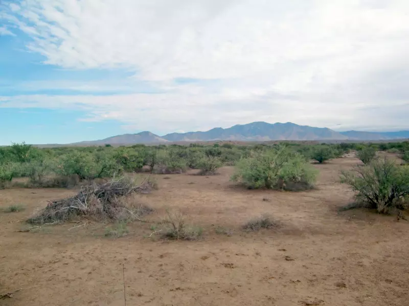 27490 Bonita Klondyke Road #124, Willcox, AZ 85643