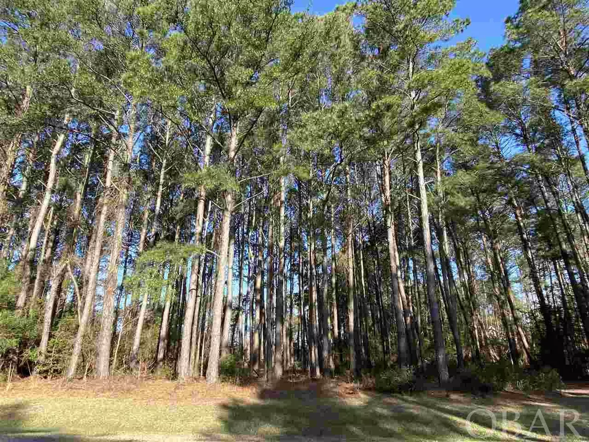 Powells Point, NC 27966,202 West Side Lane #Lot 58