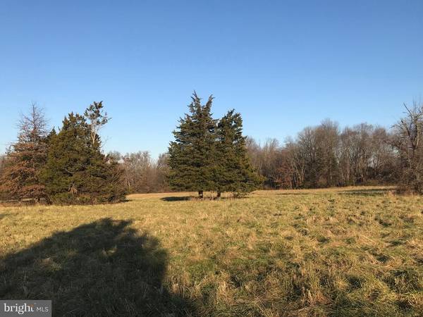 Belle Mead, NJ 08502,00 (LOT 49.02) KILDEE RD #LOT 49.02