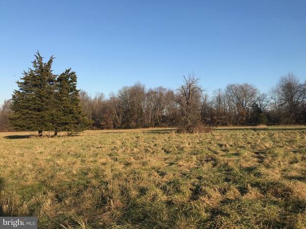 Belle Mead, NJ 08502,00 (LOT 49.02) KILDEE RD #LOT 49.02