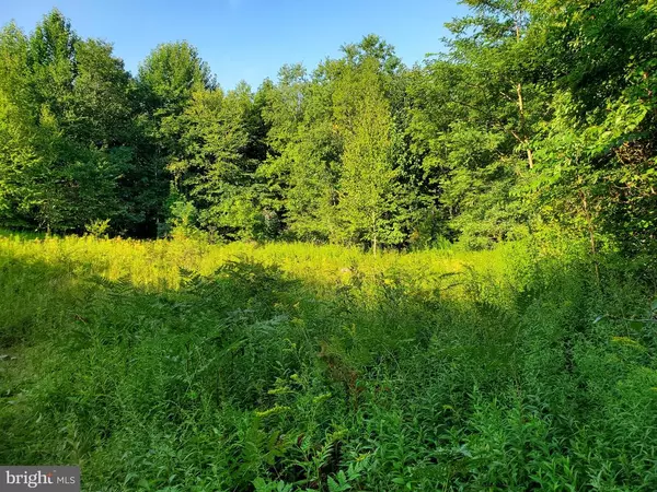 Grantsville, MD 21536,30 WOODSTREAM CT- LOT 30/THE HIGHLANDS