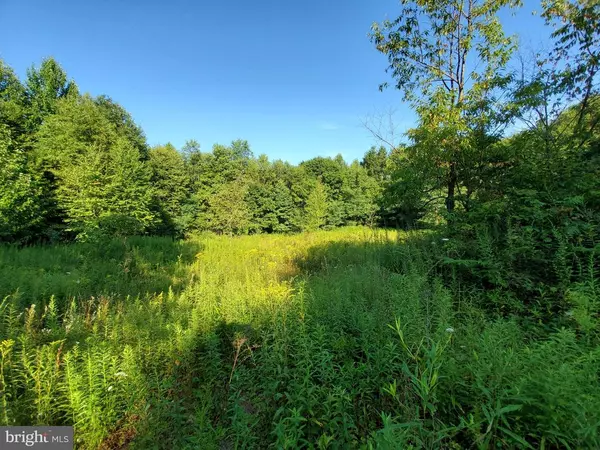 30 WOODSTREAM CT- LOT 30/THE HIGHLANDS, Grantsville, MD 21536