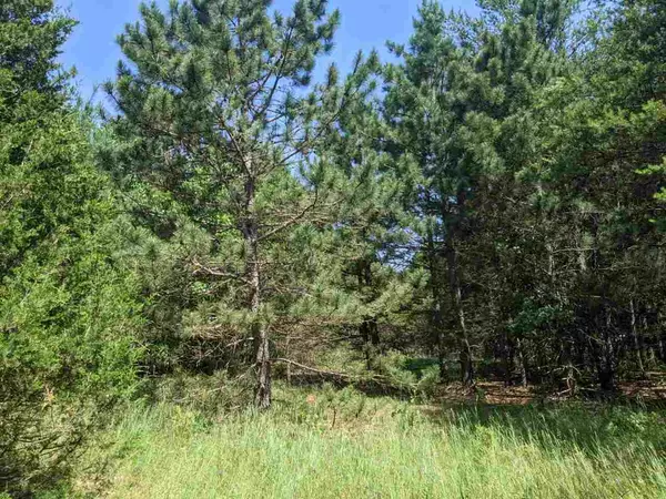 Wisconsin Dells, WI 53965,Lot 47 N Gale Dr