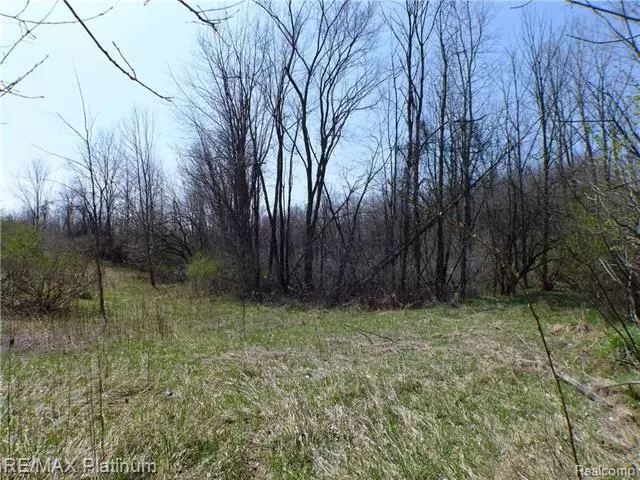 0 WOODLAND TRAIL DR, Tyrone Twp, MI 48430