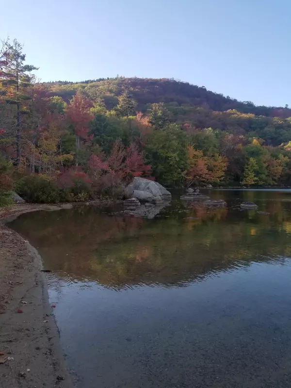 Antrim, NH 03440,93 Willard Pond RD