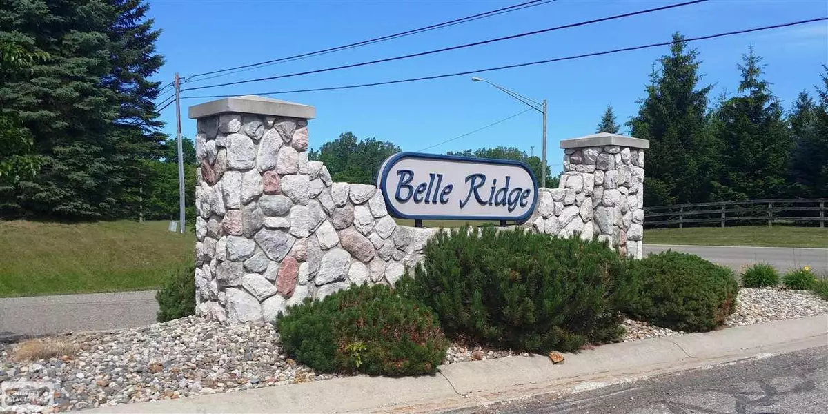 vac Belle Ridge, Dryden, MI 48428