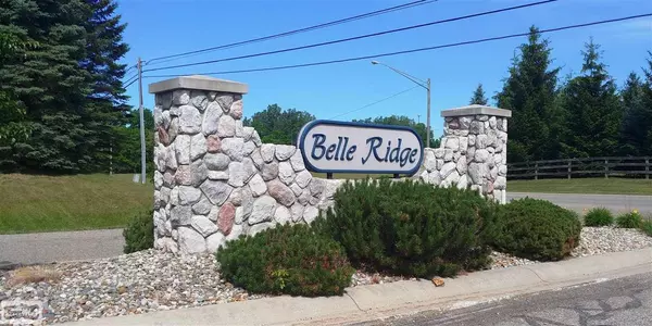 Dryden, MI 48428,vac Belle Ridge