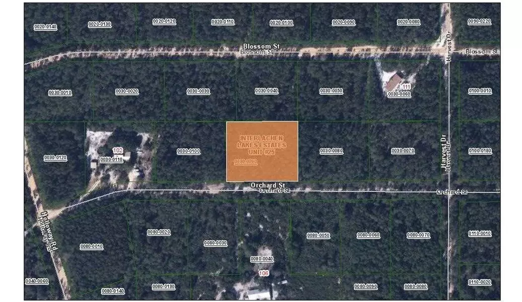 106 Orchard St, Florahome, FL 32140-0000