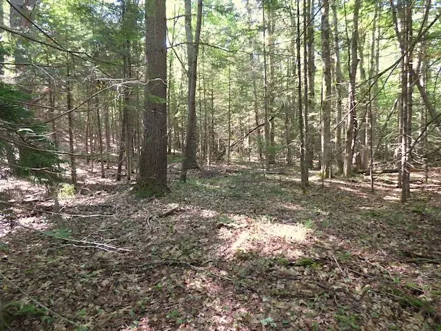 Sutton, NH 03260,Route 114