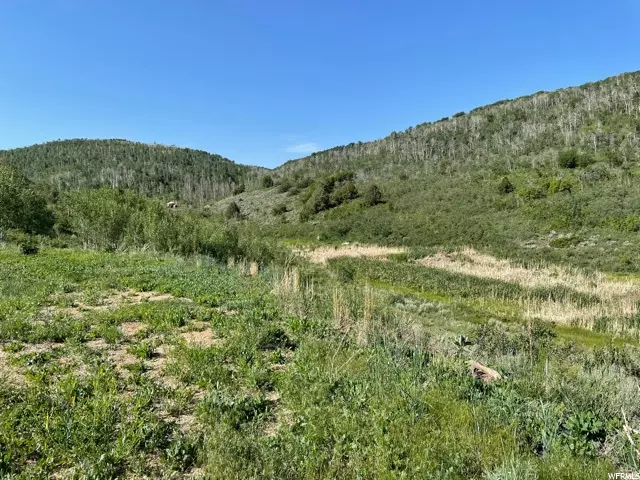 Woodland, UT 84036,5254 BRIDGE HOLLOW LN #5254