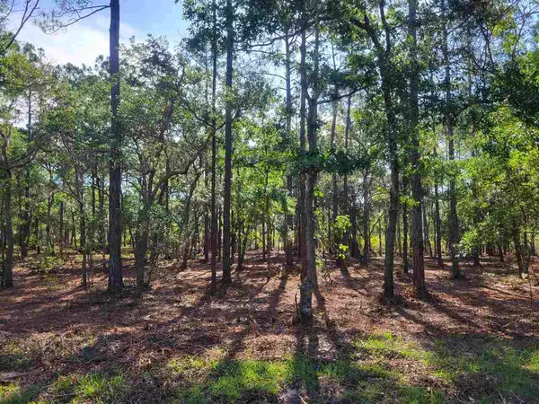 Lot 44 Ogden Lane, Panacea, FL 32346