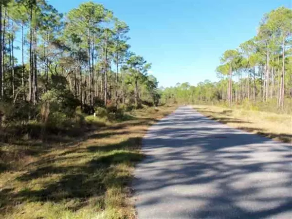 Panacea, FL 32346,Lot 44 Ogden Lane