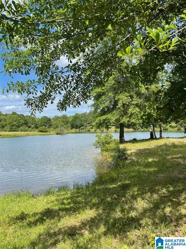 Chelsea, AL 35043,332 EMERALD LANE #LOT 37B