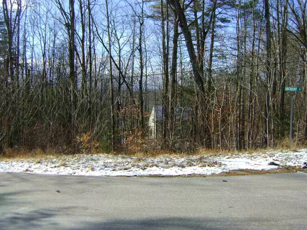 Moultonborough, NH 03254,00 Oberdorf ST