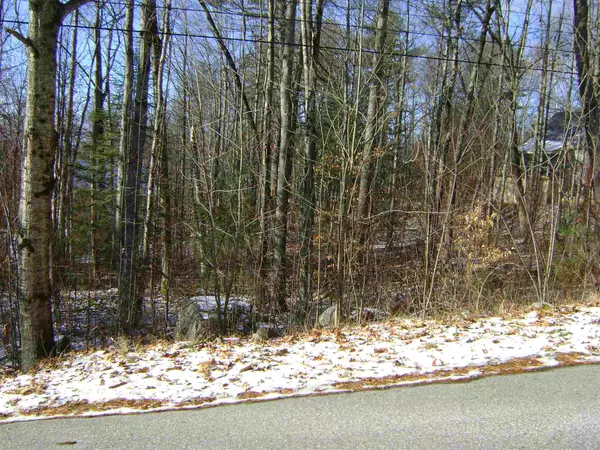 Moultonborough, NH 03254,00 Oberdorf ST