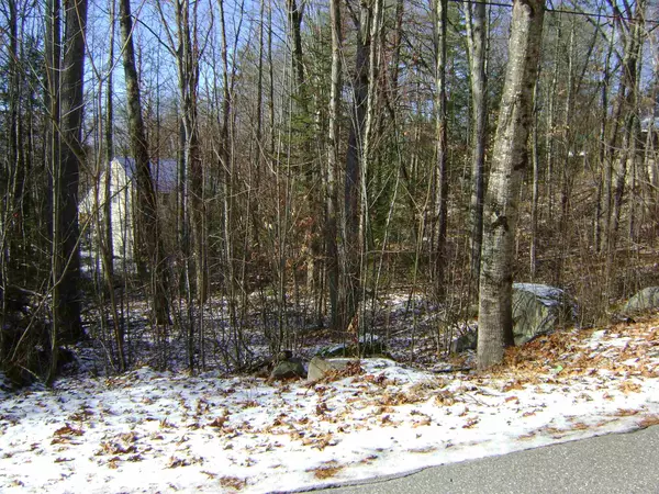 Moultonborough, NH 03254,00 Oberdorf ST