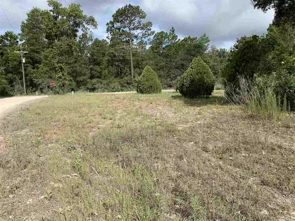 Perry, FL 32348,20828 Spoonbill Drive