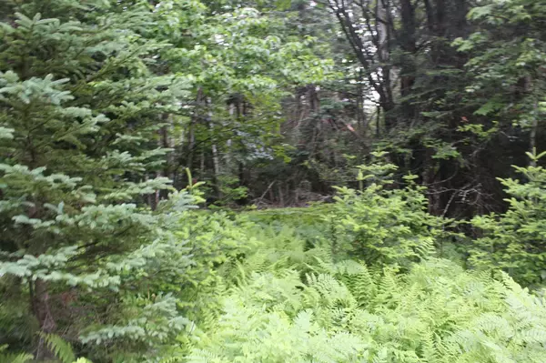 Pittsburg, NH 03592,96 Vista WAY