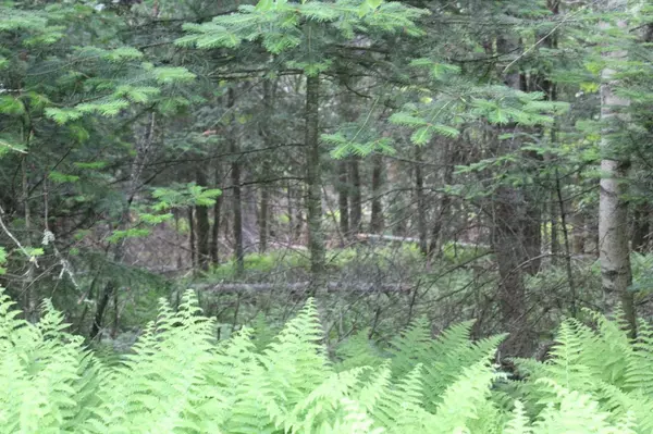 Pittsburg, NH 03592,96 Vista WAY