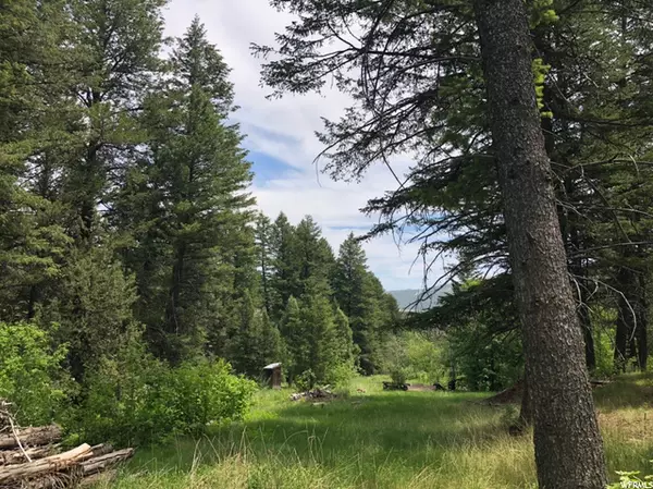 Lava Hot Springs, ID 83246,12625 S RACOON DR