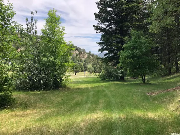 Lava Hot Springs, ID 83246,12625 S RACOON DR