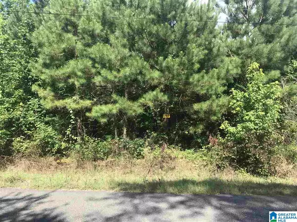 Lot 4 MILL CREEK ROAD #4, Nauvoo, AL 35578