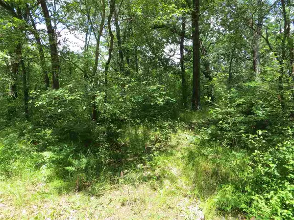 Coloma, WI 54930,Lot 44 Black Oak Ct