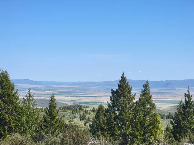 Bancroft, ID 83217,0 BARE GROUND