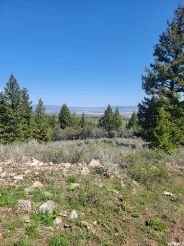 Bancroft, ID 83217,0 BARE GROUND