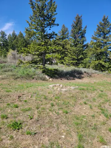 Bancroft, ID 83217,0 BARE GROUND