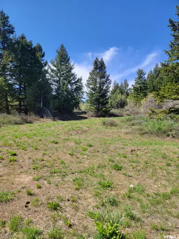 Bancroft, ID 83217,0 BARE GROUND