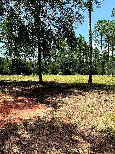 Laurel Hill, FL 32567,12.5 Ac xx E Chapel Road