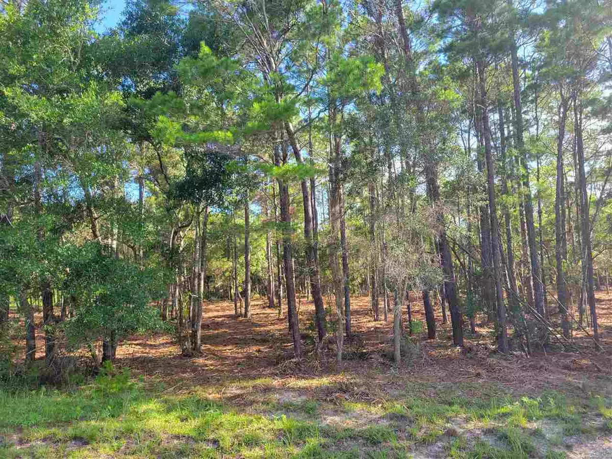 Panacea, FL 32346,Lot 51 Whiteford Way