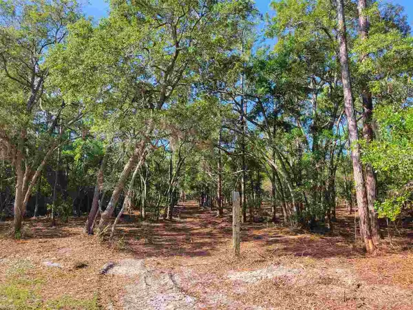 Panacea, FL 32346,Lot 51 Whiteford Way