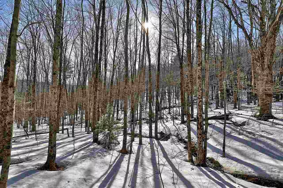 Lot 10-088 Old Log RD, Stockbridge, VT 05772