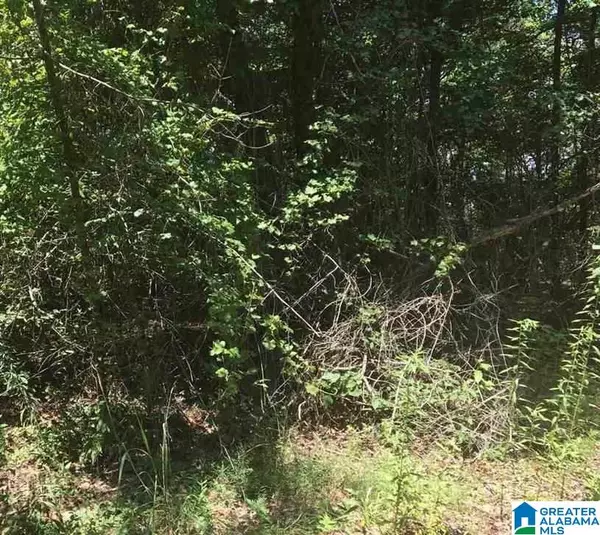 Lot 19 MCCOY CIRCLE #19, Lakeview, AL 35111