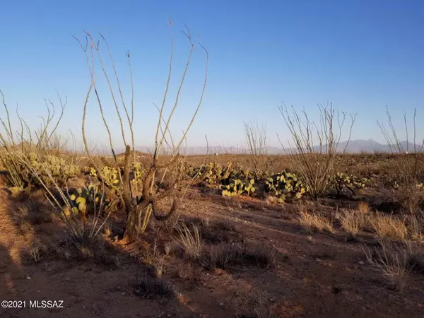 Sahuarita, AZ 85629,Ocotillo Ranches  #Lot 21