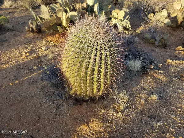 Sahuarita, AZ 85629,Ocotillo Ranches  #Lot 21