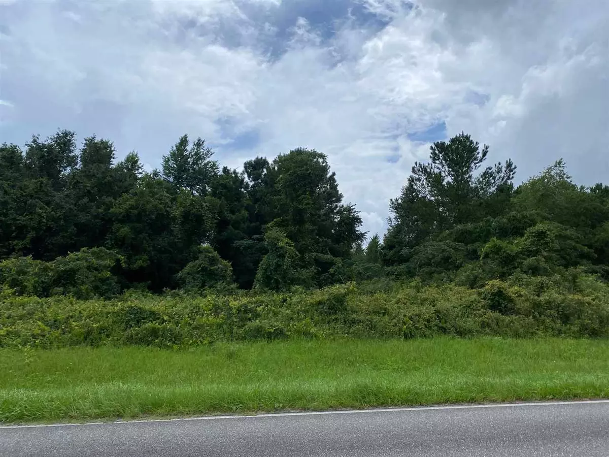 Madison County, FL 32340,Vacant SW Moseley Hall Road