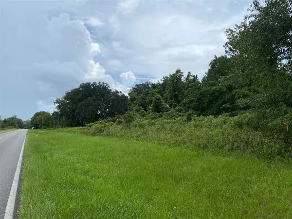 Madison County, FL 32340,Vacant SW Moseley Hall Road