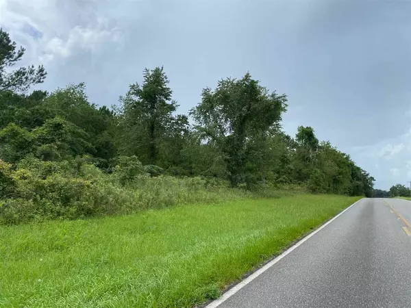 Madison County, FL 32340,Vacant SW Moseley Hall Road