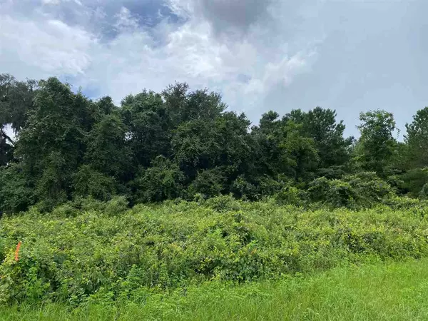 Madison County, FL 32340,Vacant SW Moseley Hall Road