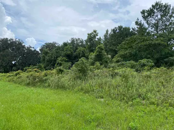 Madison County, FL 32340,Vacant SW Moseley Hall Road