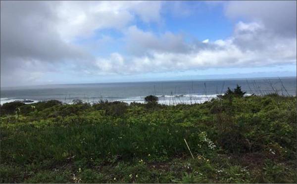 000 Ocean BLVD, Moss Beach, CA 94038