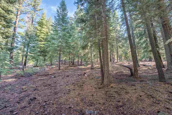 Truckee, CA 96161,12187 Brookstone Drive