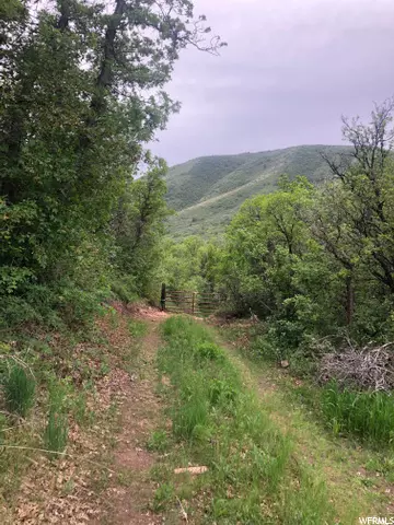 Springville, UT 84663,399 S HOBBLE CREEK CANYON RD #7