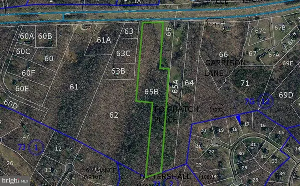 Amissville, VA 20106,LEE HWY #LOT 65B