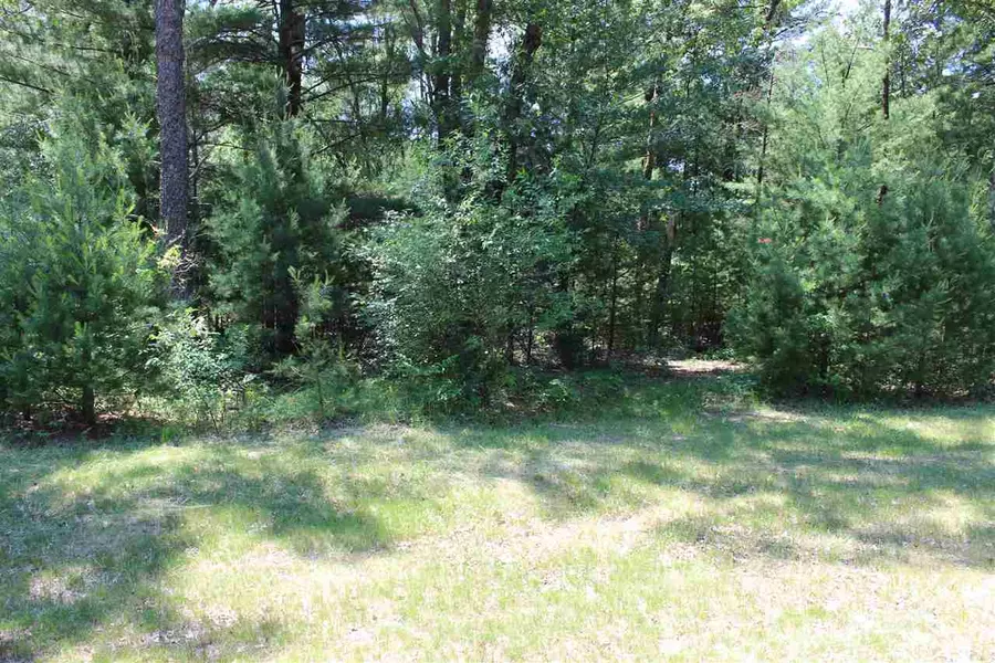 Lot 42 N Badger Dr, Arkdale, WI 54613