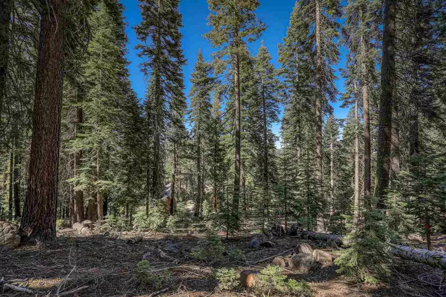 12380 Muhlebach Way, Truckee, CA 96161